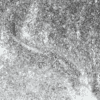A black and white photo featuring apres Gel Color Glitter 0.5z.